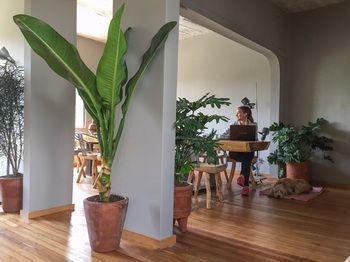 Bed and breakfast Chaya Boutique