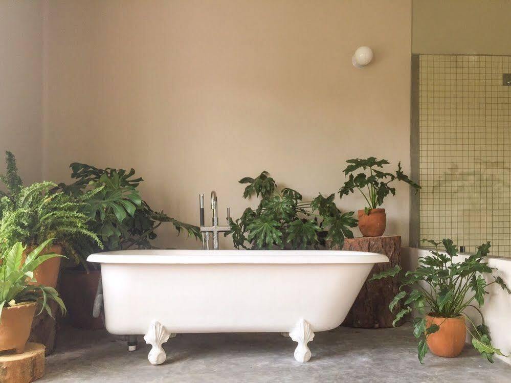 Chaya Boutique Bed and breakfast